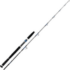 DAIWA SALTIGA HIRAMASA JIG 58 HS 1.73M 90-210G - מקל ג'יג 