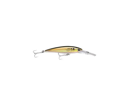 RAPALA XRMAG 10  X-RAP MAGNUM 10FT -  BNK 