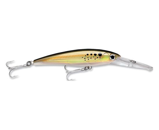 RAPALA XRMAG 20   X-RAP MAGNUM 20FT BNK 