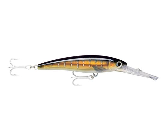 RAPALA XRMAG 20  X-RAP MAGNUM 20FT HDSFU 