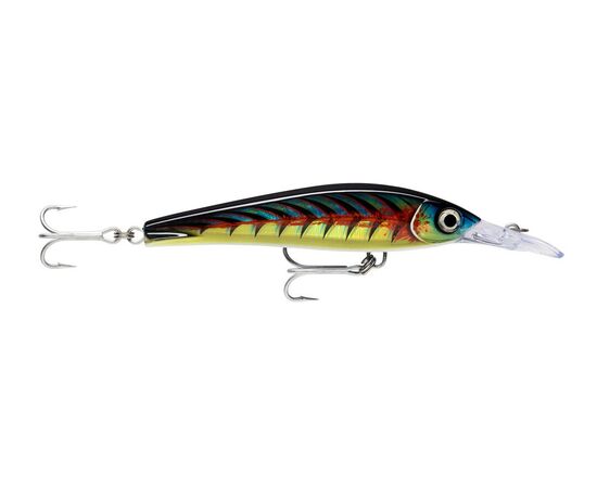 Rapala X-rap Magnum Xtreme 160 , 7 image