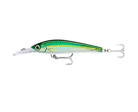 Rapala X-rap Magnum Xtreme 160 , 11 image