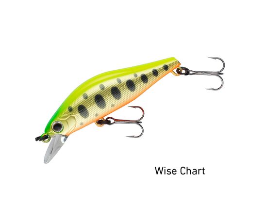 DAIWA TOURNAMENT WISE MINNOW 50HR 50MM 4G - דמוי , 4 image