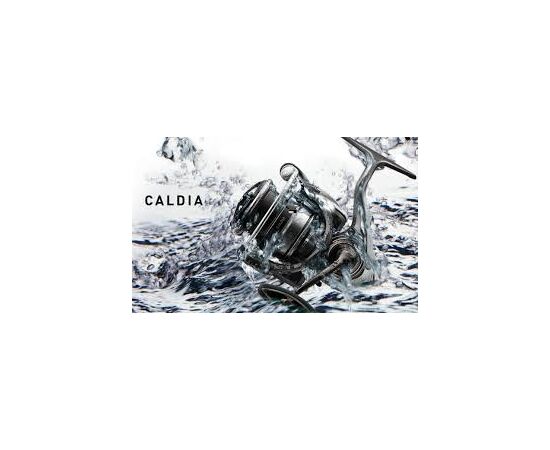 DAIWA 18 CALDIA LT , 5 image