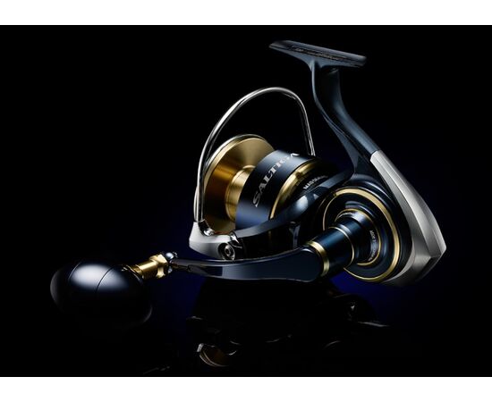 DAIWA 20 SALTIGA , 3 image