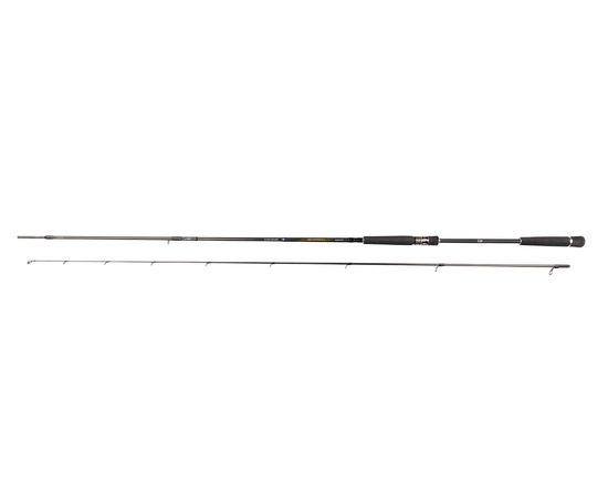 DAIWA MORETHAN AGS 107MH 3.20M 10-60G 