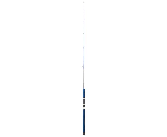 DAIWA LEGALIS OCEANO 