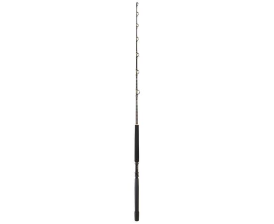 DAIWA SEALINE X TROLLING , 4 image