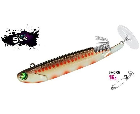 FIIISH POWER TAIL SQUID SHORE 12G , 3 image