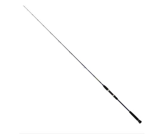 DAIWA EXCELER OCEANO JIG 581 XHS-AF 1.72M 100-300G 