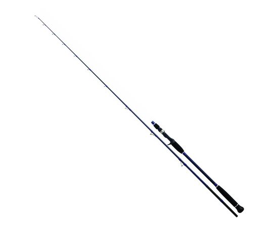 DAIWA EXCELER OCEANO JIG , 2 image