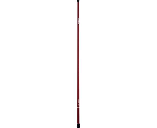 DAIWA SWEEPFIRE TELE POLE , 2 image