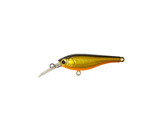 SKAGIT DESIGNS DIVING BEETLE 40SP 2.3G GOLD/B/ORANGE 