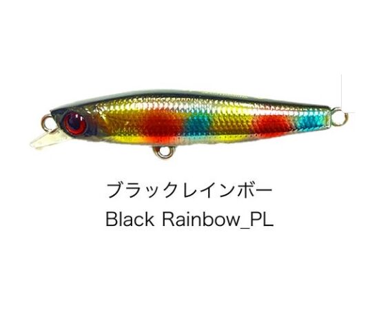 SKAGIT DESIGNS LIP SLIDE 6CM 13G BLACK RAINBOW 