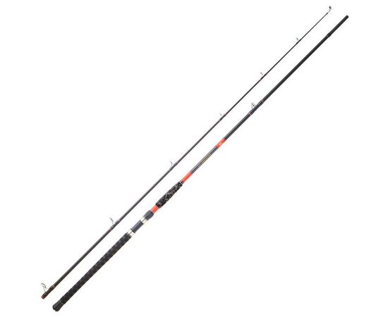 DAIWA MEGAFORCE BIG FISH 292H 2.90M 2Pcs. 80-180G 