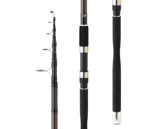 DAIWA MEGAFORCE BIG FISH TELESCOPIC MFBF295TXHBF 2.90M 100-300G , 2 image